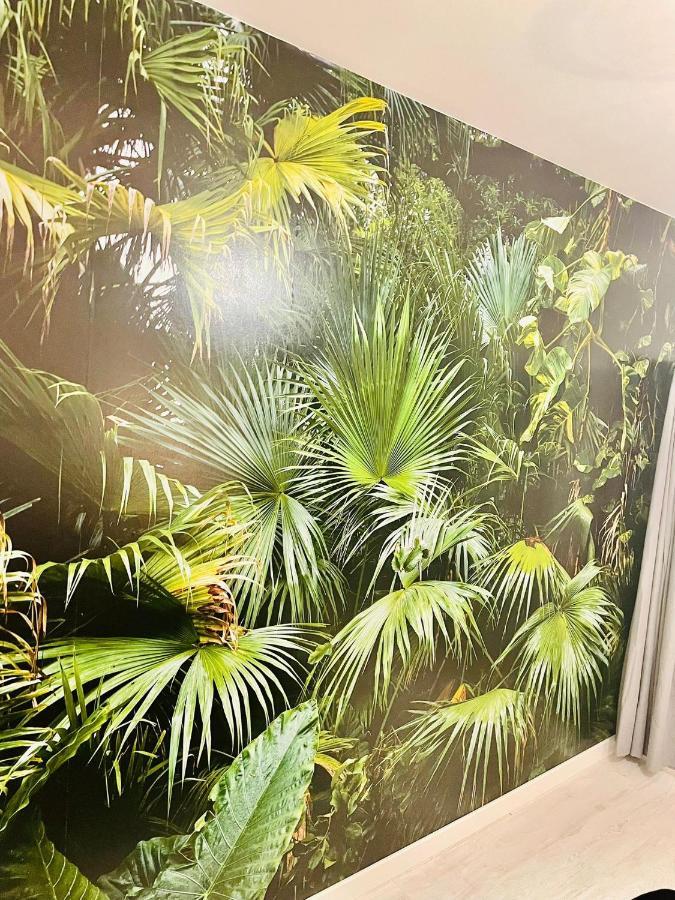 La Saveur Tropicale-Proche Centre Ville-Aeroport Бове Екстериор снимка